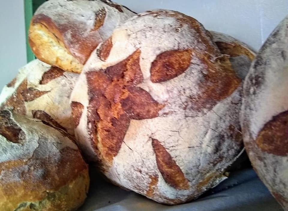 The Bear Bread Bakery B&B, Ensuite Rooms Above The Bakery, Colyton 外观 照片