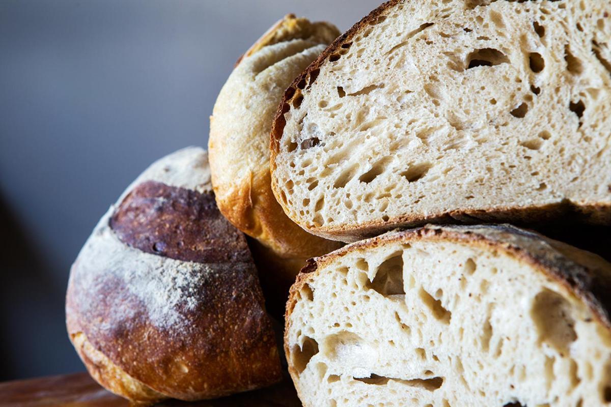 The Bear Bread Bakery B&B, Ensuite Rooms Above The Bakery, Colyton 外观 照片